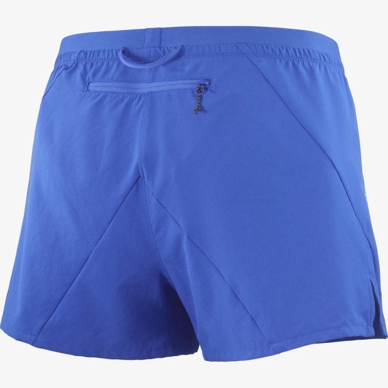 Blue Salomon Cross 3'' Men's Shorts | IE PG9528